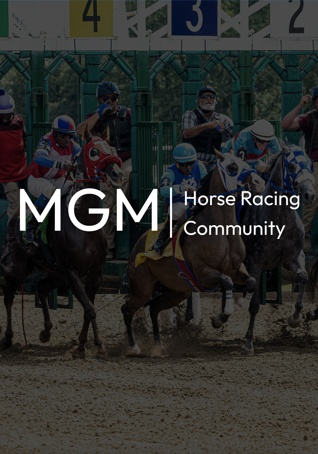 Horse racing information service
